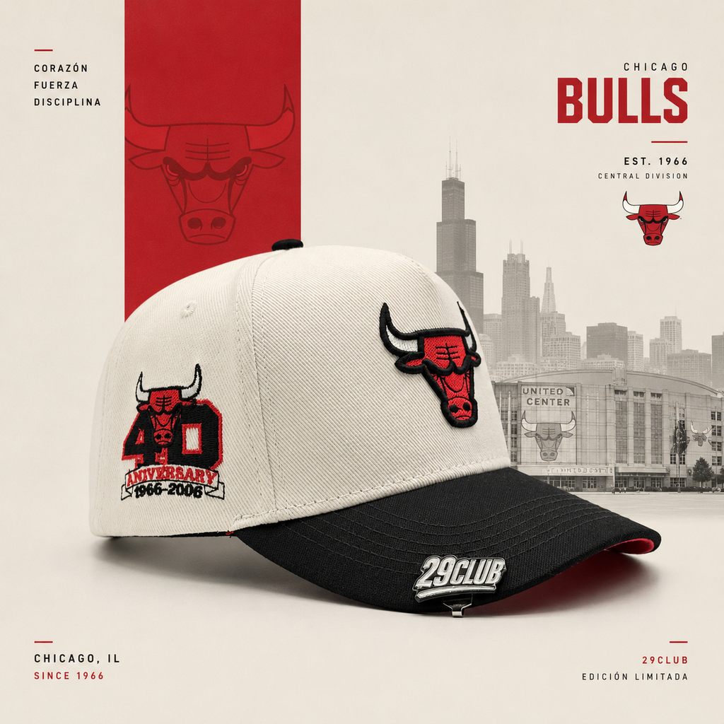 CHICAGO BULLS