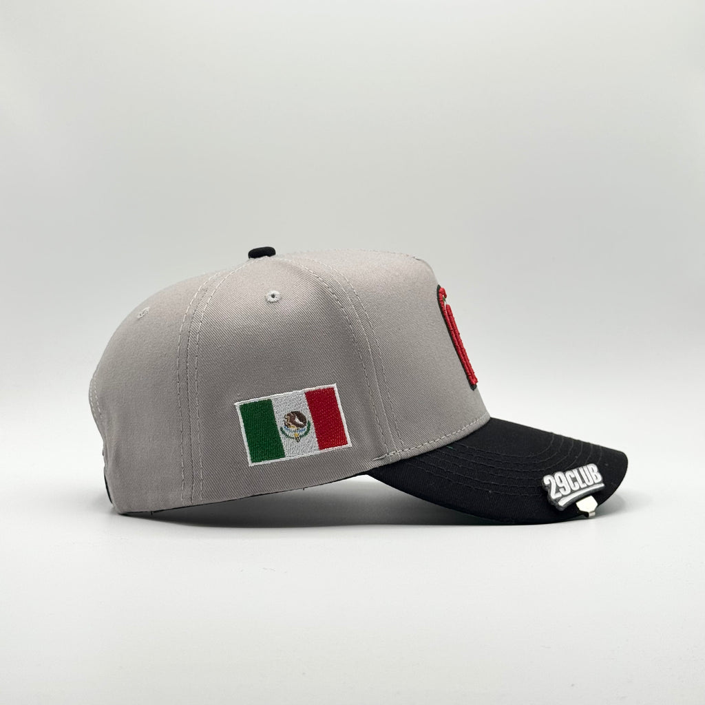 MÉXICO MLB GRIS