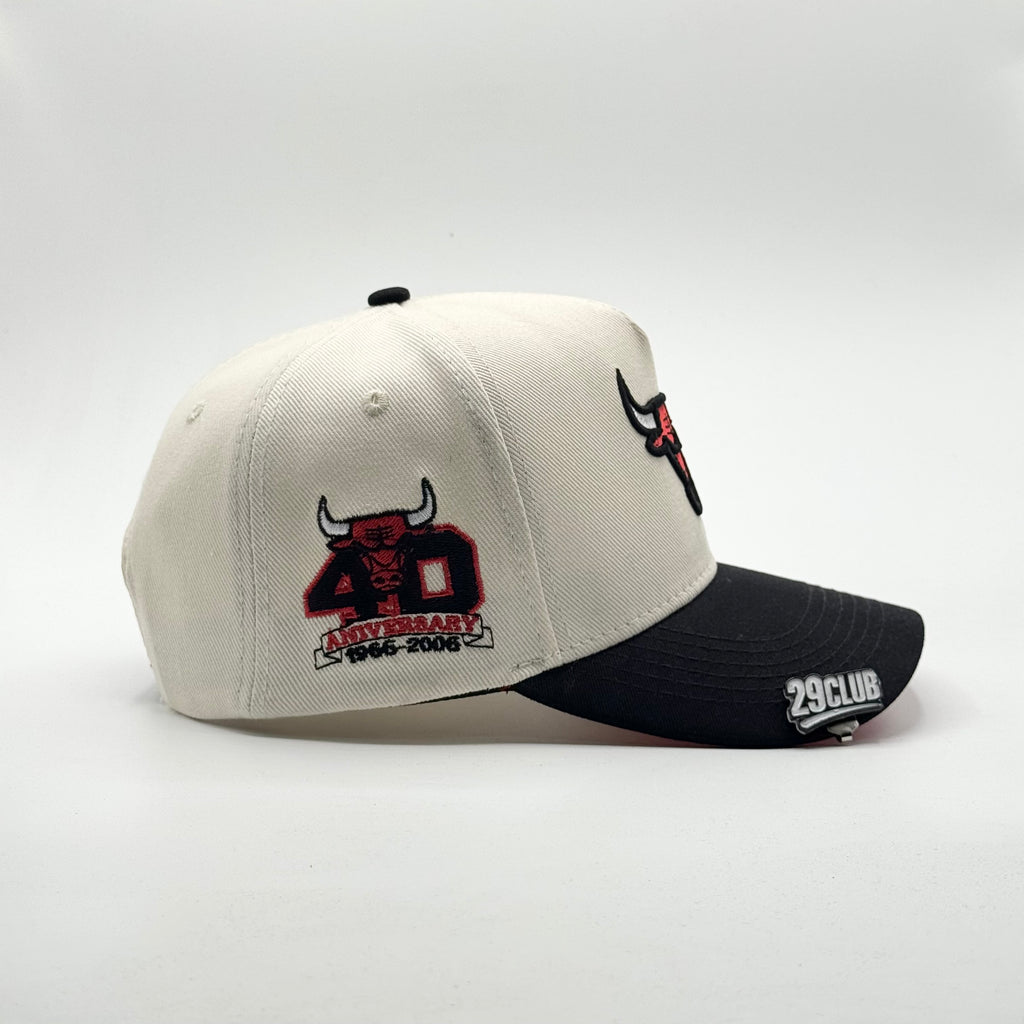 CHICAGO BULLS