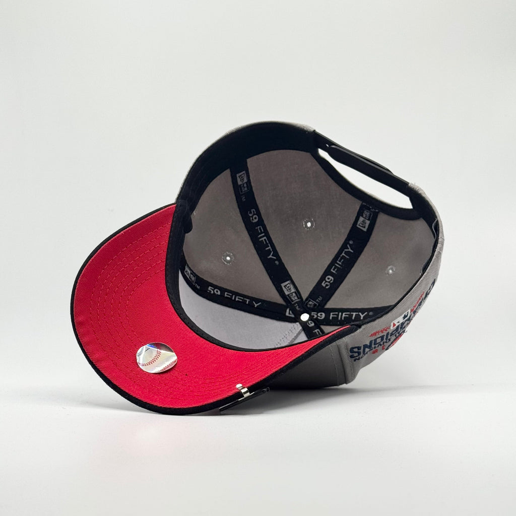 CHICAGO CUBS CHAMPIONS