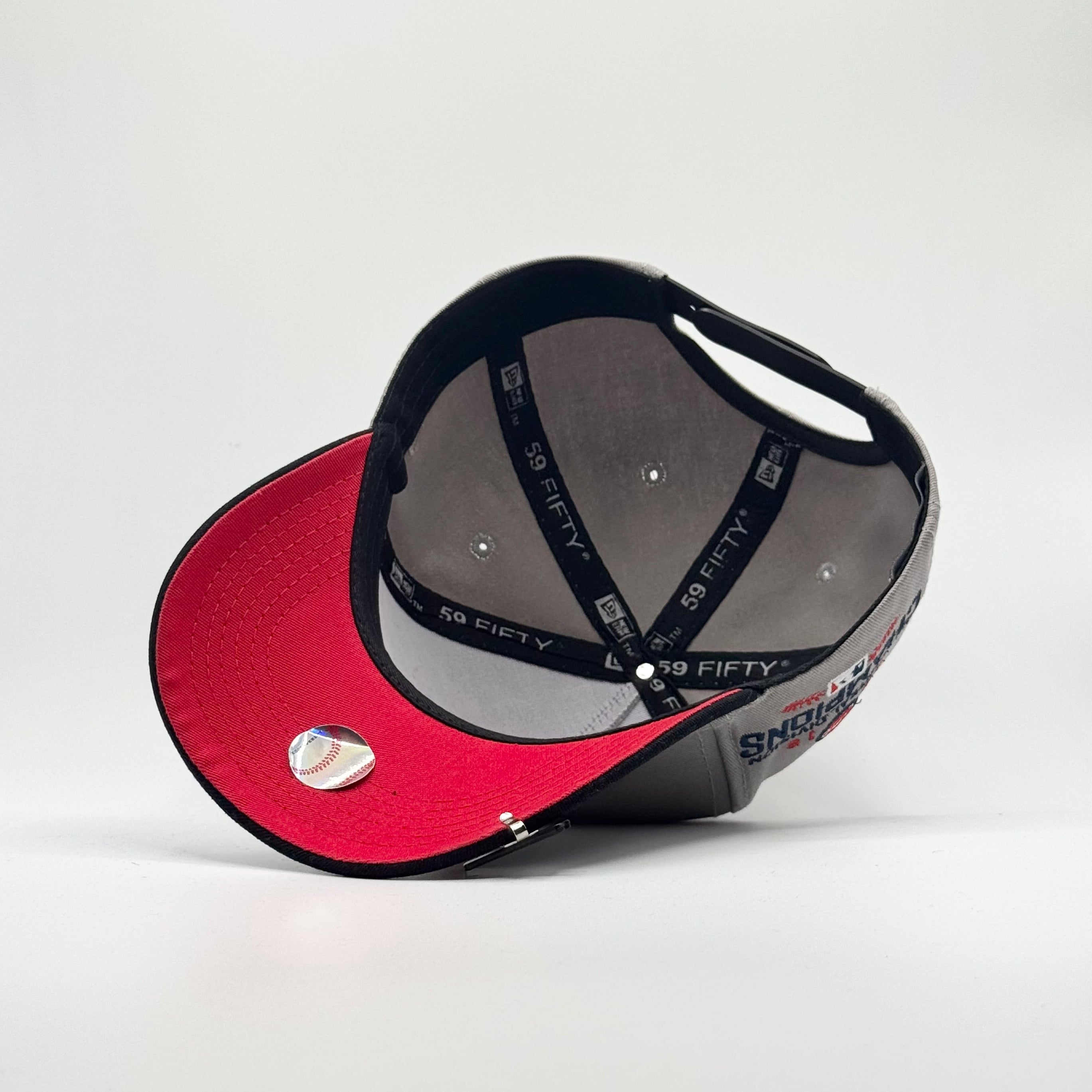 CHICAGO CUBS CHAMPIONS