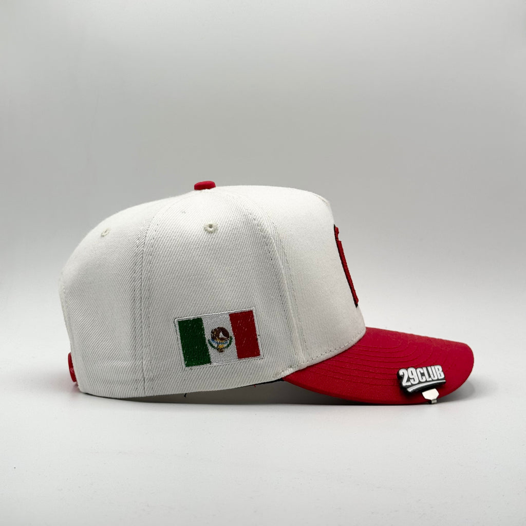 EDICIÓN ESPECIAL MÉXICO