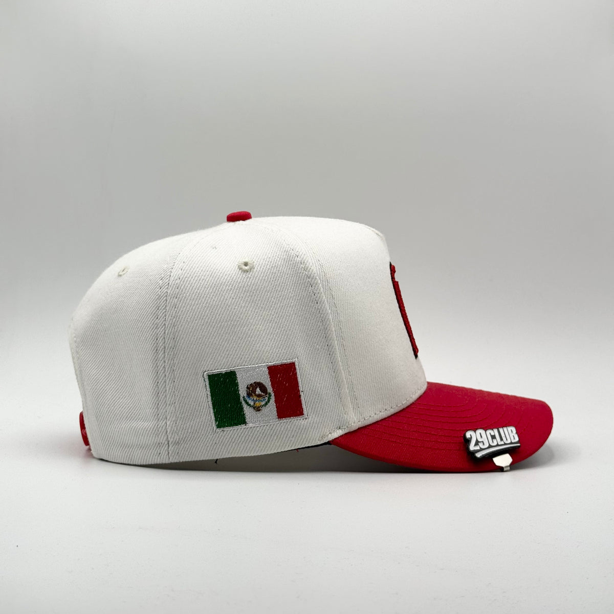 EDICIÓN ESPECIAL MÉXICO