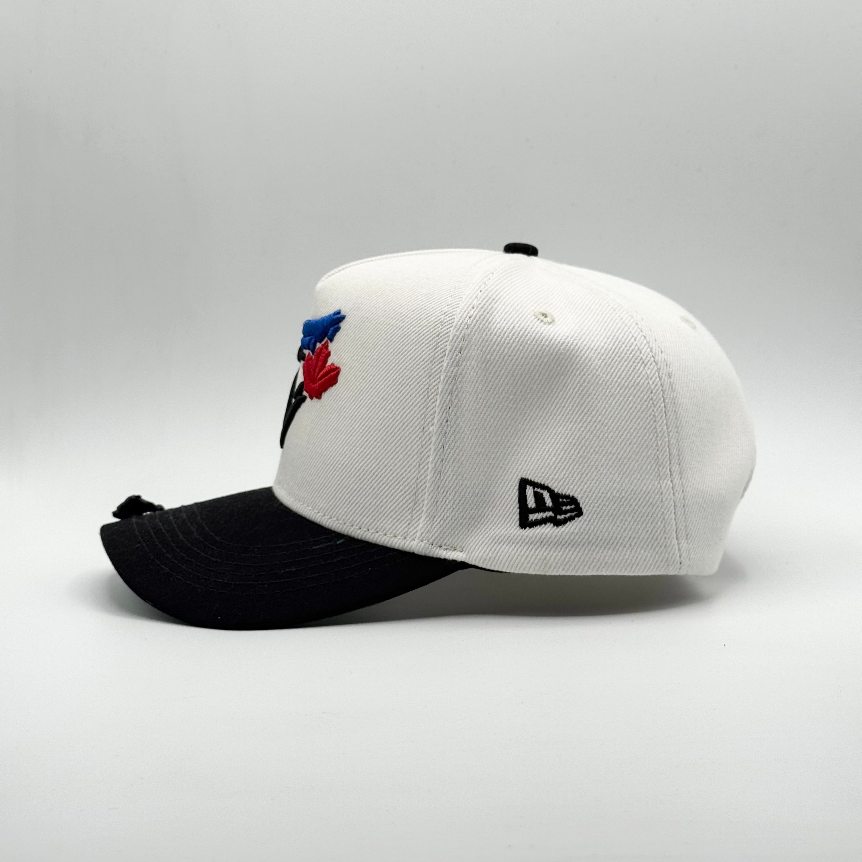 TORONTO BLUE JAYS