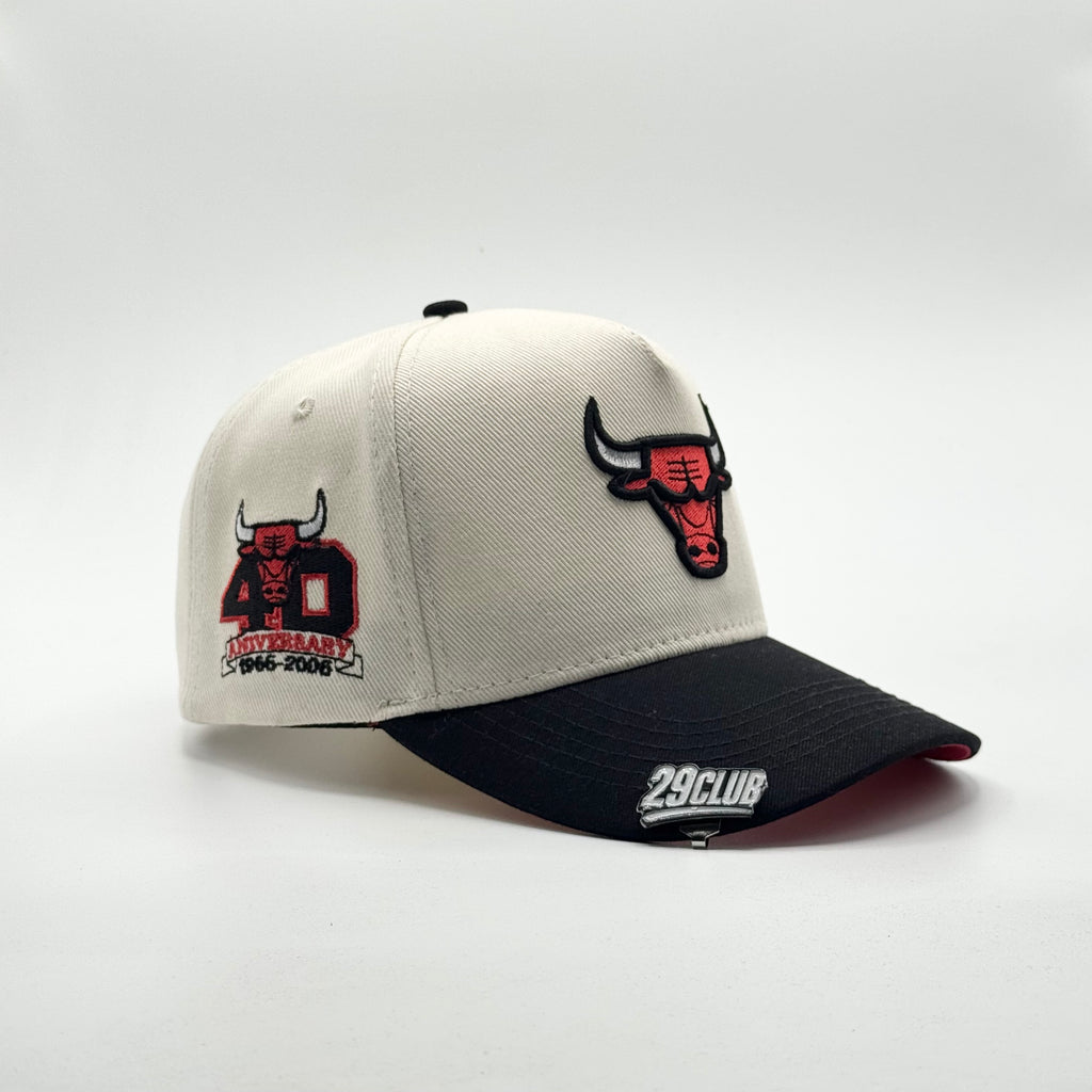 CHICAGO BULLS