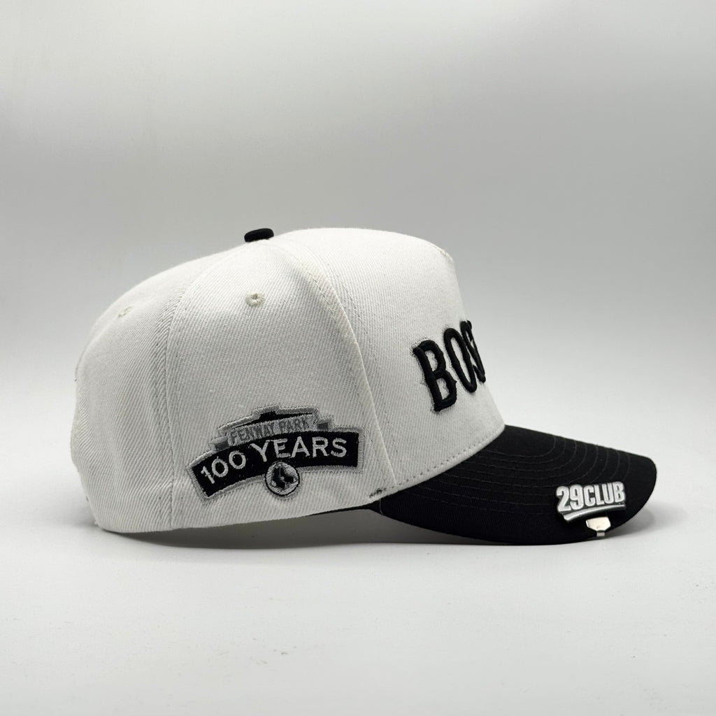 BOSTON RED SOX 100 YEARS